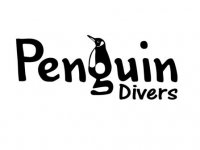 Penguin Divers avatar