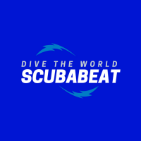 Scubabeat avatar