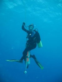 easydiver avatar