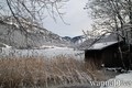 zdjęcia z nurkowań