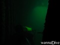 zdjęcia z nurkowań